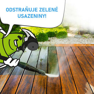 77 924 CLINEX CLINEX ALG 1L 0