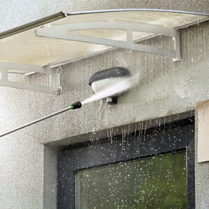 77 924 CLINEX CLINEX ALG 1L 5