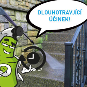 77 924 CLINEX CLINEX ALG 1L 8