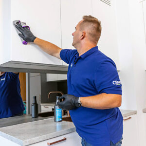 Clinex Multi Clean – Green Tea