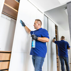 Clinex Multi Spray – Green Tea