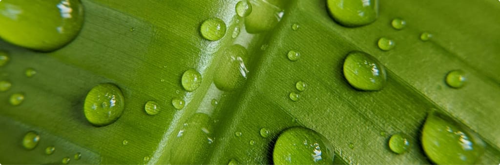 about us bg scaled 1 1024x338 1