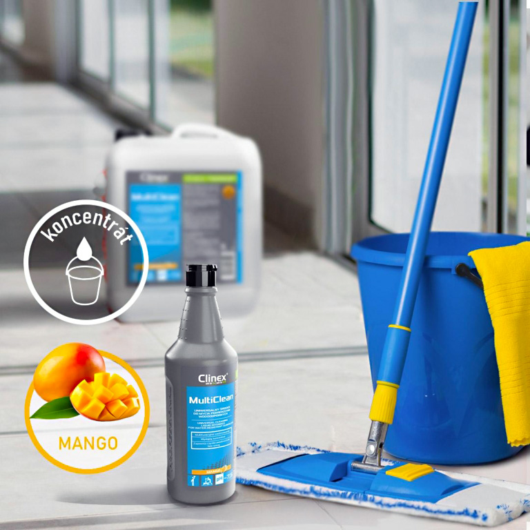 horeca lobby Clinex Multi Clean